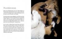 Ich werd' dann mal Hund