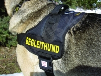 TPP-Geschirr Gr. 2 schwarz