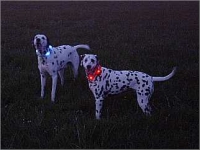LEUCHTIE rot
