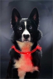 LEUCHTIE neonweiss NEU