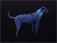 LEUCHTIE blau (Zwischengr��e)