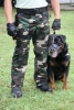 190P5 Maulkorb Diensthund / Rotti, Sch�fer