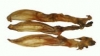 Kaninchenohren getrocknet 100g