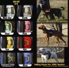 Julius K9 TPP Geschirr